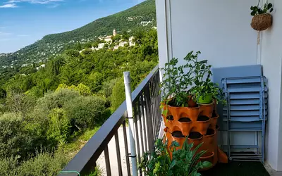 Grasse (06130)