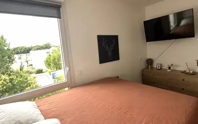 Montpellier (34000)