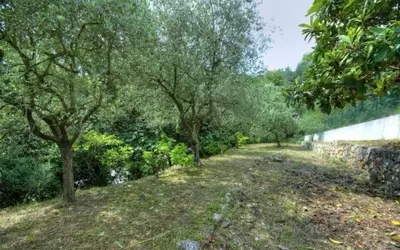 Gattières (06510)