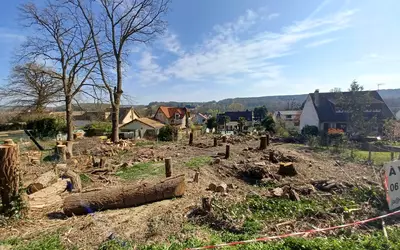 Breux-Jouy (91650)