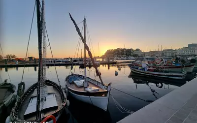 Sanary-Sur-Mer (83110)