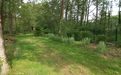 Pruniers-En-Sologne (41200)