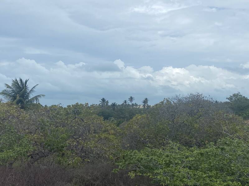 Brésil