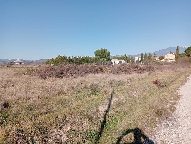 Caromb