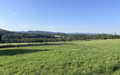Courlans (39570)