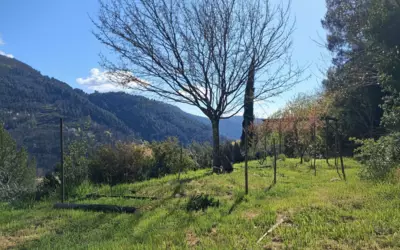 Dunière-Sur-Eyrieux (07360)