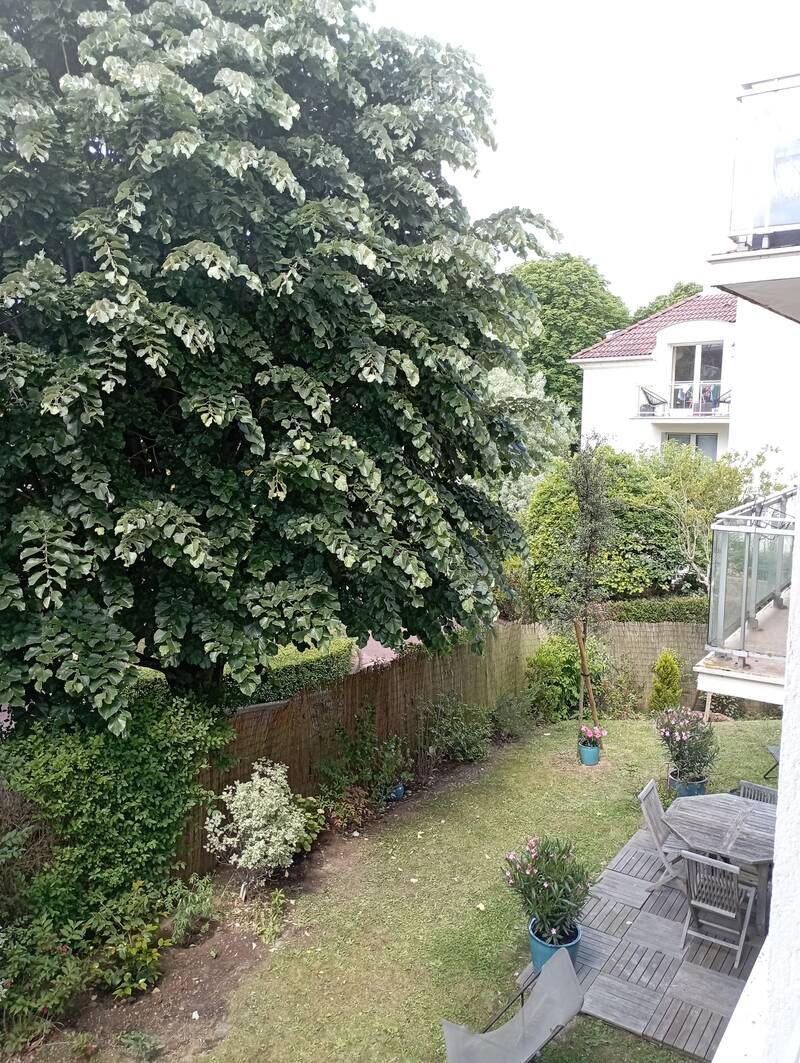 Montesson (78360)