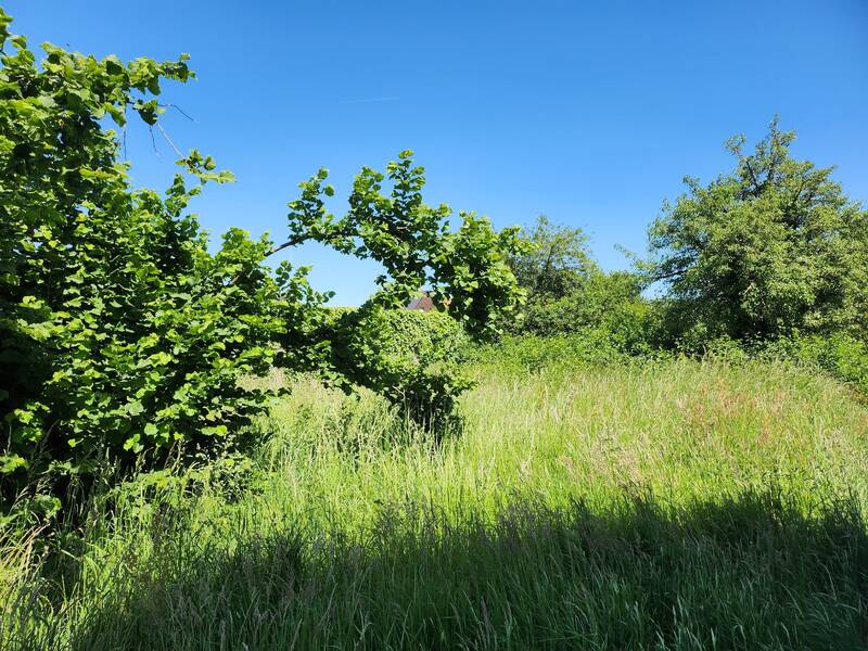 Joué-Lès-Tours (37300)