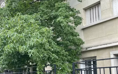 Neuilly-Sur-Seine (92200) (92200)