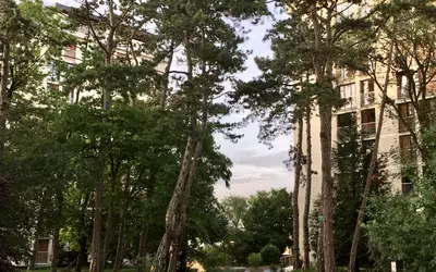 Reims (51100)