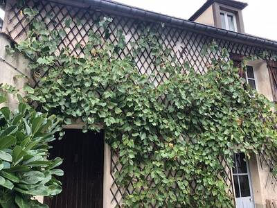 Location appartement 2 pièces Gometz-le-Châtel (91940)