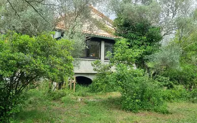 Saint-Vincent-De-Barbeyrargues (34730)