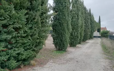 Caromb (84330)