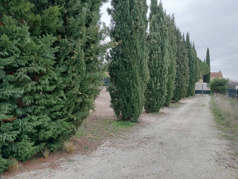Caromb (84330)
