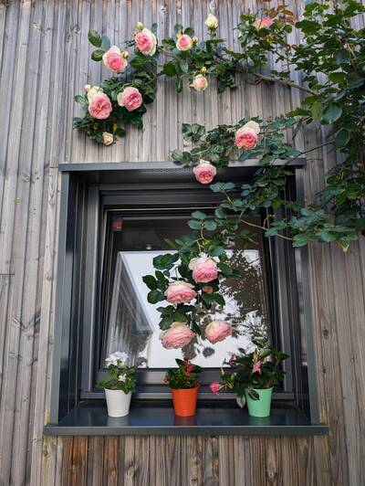 Vente maison 4 pièces Nantes (44)