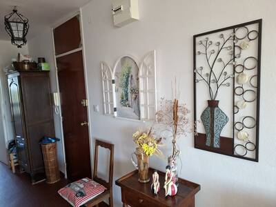 Vente appartement 3 pièces Saint-Cyprien (66750)