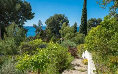 Le Lavandou (83980)