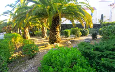 La Seyne-Sur-Mer (83500)