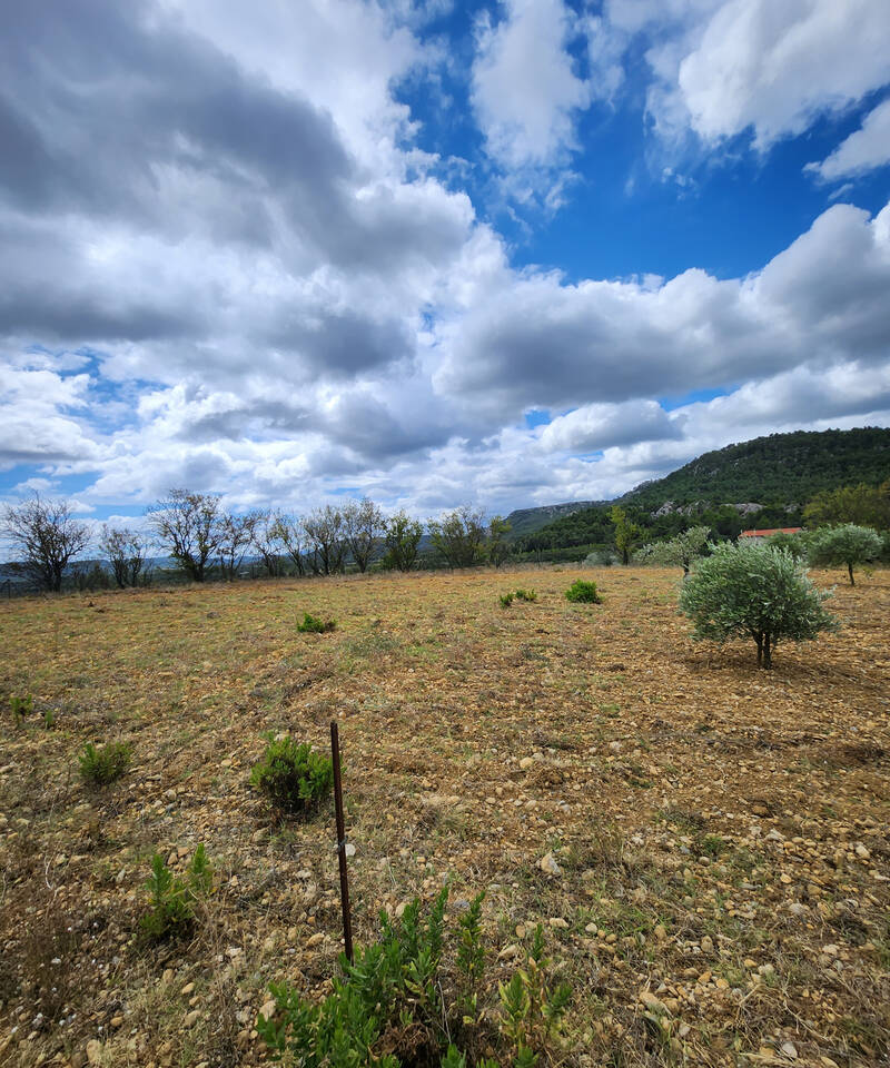 Thézan-Des-Corbières (11200)