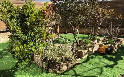 Carpentras (84200)