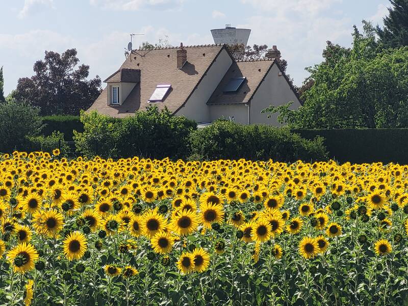 Follainville-Dennemont (78520)