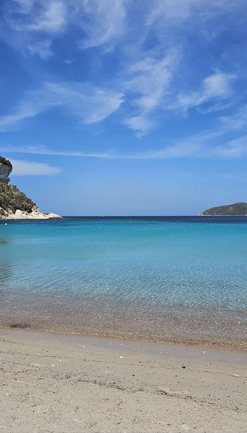 Bonifacio (20169)