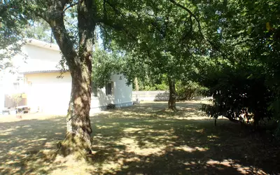 Rion-Des-Landes (40370)