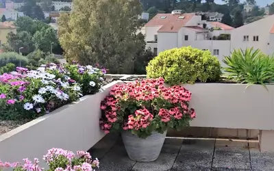 Toulon (83000)