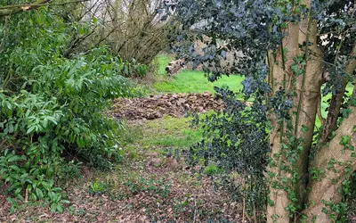 Mauron (56430)