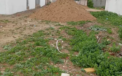 Tunisie