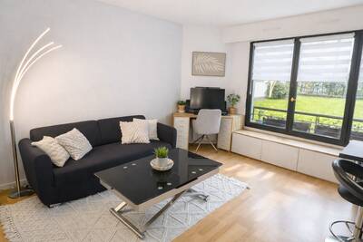Vente appartement studio Issy-les-Moulineaux (92130)
