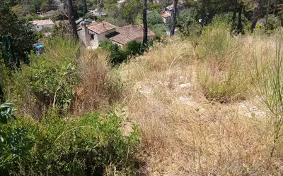 Cabasse (83340)