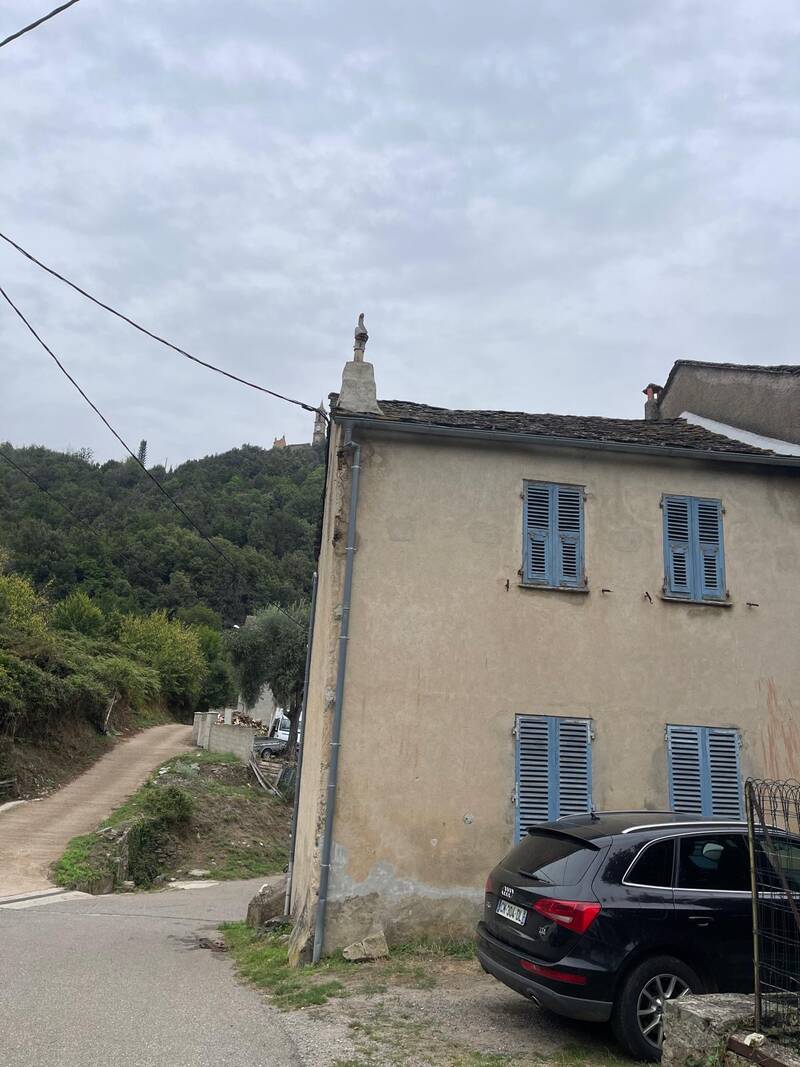 Ortiporio (20290)