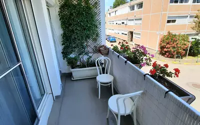 Toulouse (31000)