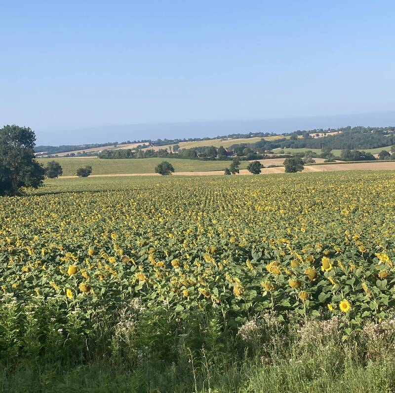 L'isle-Jourdain (32600)
