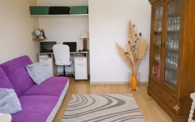 Mareau-Aux-Bois (45300)