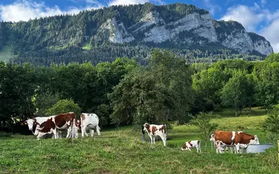Thollon-Les-Mémises (74500)