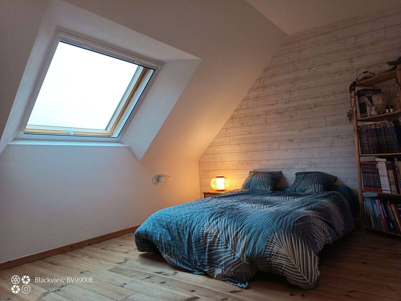 Locoal-Mendon (56550)