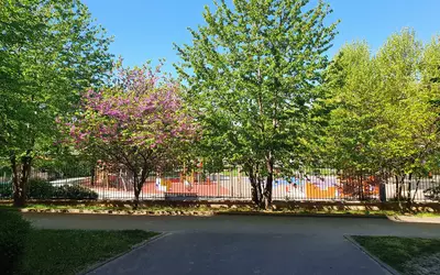 Saint-Denis (93200)