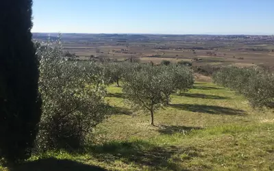 Neffiès (34320)