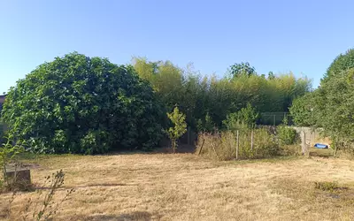 Saint-Didier-Sur-Chalaronne (01140)