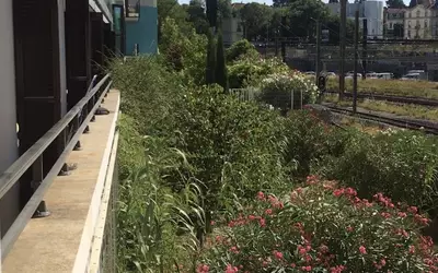 Montpellier (34000)