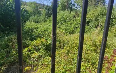 Cours-La-Ville (69470)