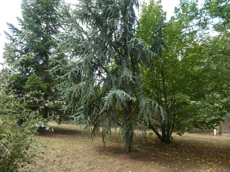 Eaunes (31600)