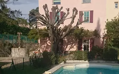 Grasse (06130)