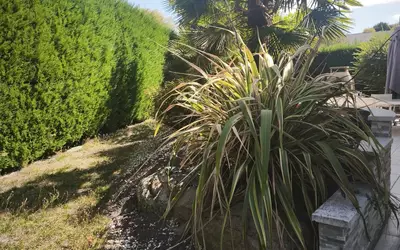 850€ Toutes Charges Comprises Bressuire(79)