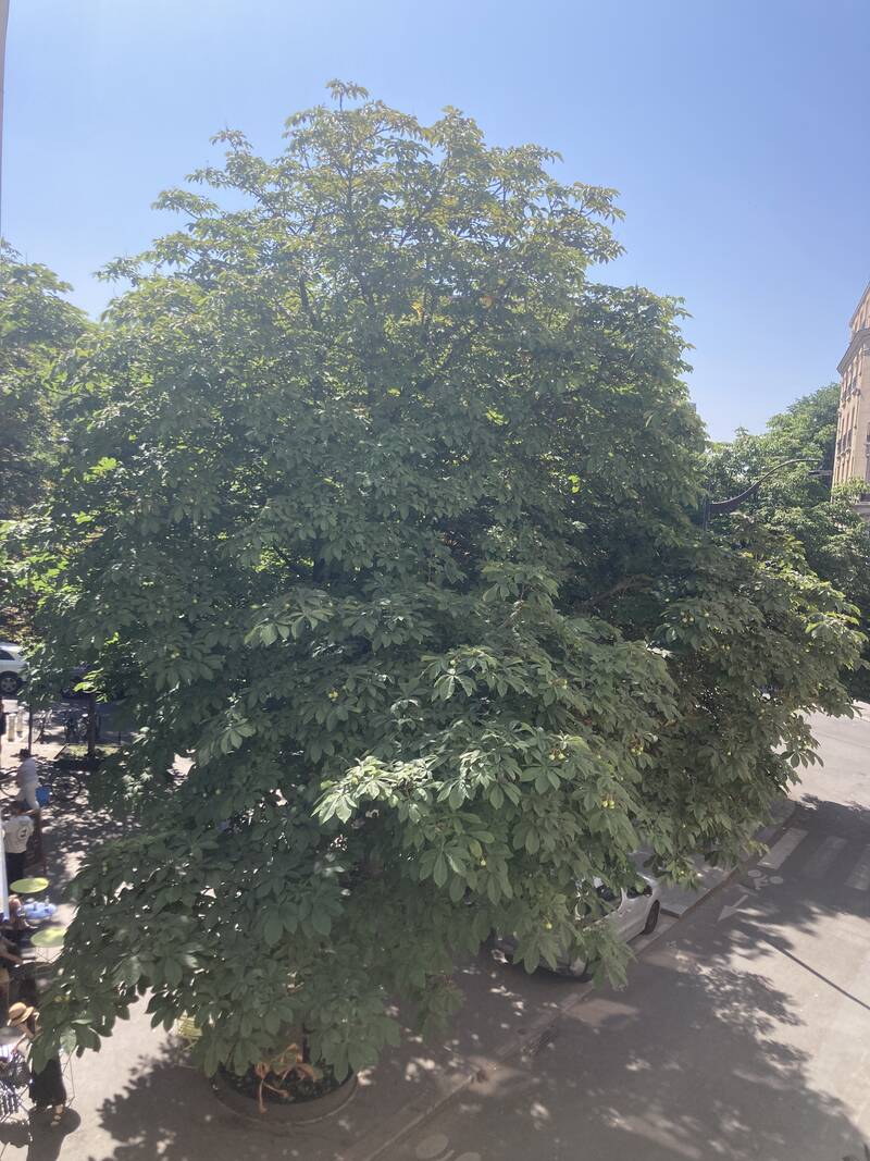 Paris 19E (75019)