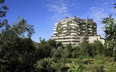 Montpellier (34000)
