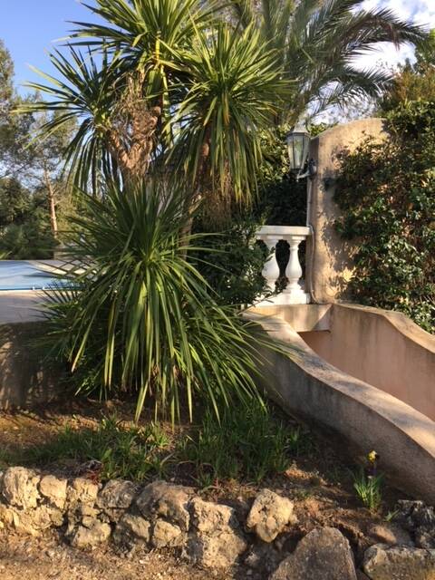 Puget-Sur-Argens (83480)