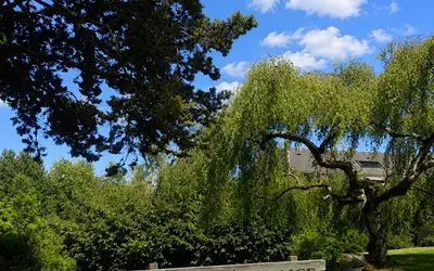 Villebon-Sur-Yvette (91140)